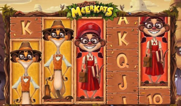   Meet the Meerkats